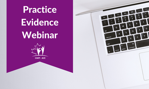 laptop on white background with purple flag that says "Practice Evidence Webinar