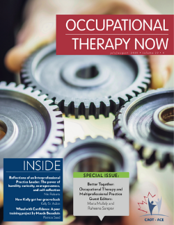 Better Together: Occupational Therapy and Multiprofessional Practice