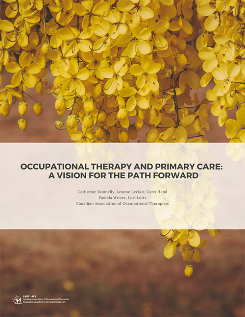 Primary care vision cover